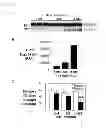 Fig. 03 - Compositions and methods related to tauopathy