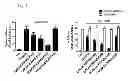 Fig. 16 - Compositions and methods related to tauopathy