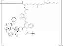 Fig. 48 - Macromolecules