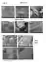 Fig. 03 - LIGNIN COMPOSITIONS, METHODS OF PRODUCING THE COMPOSITIONS, METHODS OF USING LIGNIN COMPOSITIONS, AND PRODUCTS PRODUCED THEREBY