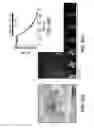 Fig. 16 - Methods of reducing levels of tau