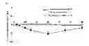 Fig. 05 - Compound having detrusor muscle-contracting activity and urethral sphincter muscle-relaxing activity