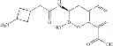 Fig. 197 - Beta-lactamase inhibitors