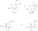Fig. 43 - Beta-lactamase inhibitors
