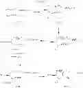 Fig. 46 - Beta-lactamase inhibitors