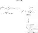 Fig. 48 - Beta-lactamase inhibitors