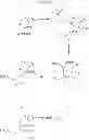 Fig. 52 - Beta-lactamase inhibitors