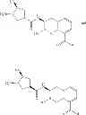 Fig. 83 - Beta-lactamase inhibitors