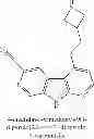 Fig. 124 - 1,7-DIAZACARBAZOLES AND METHODS OF USE