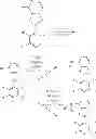 Fig. 33 - AZABENZOTHIAZOLE COMPOUNDS, COMPOSITIONS AND METHODS OF USE