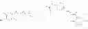 Fig. 294 - Treating diseases mediated by blockade of the epithelial sodium channel with pyrazine-2-carboxamide derivatives