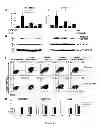 Fig. 02 - MULTIPLE MYELOMA TREATMENT