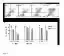 Fig. 04 - MULTIPLE MYELOMA TREATMENT
