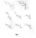 Fig. 09 - Methods of Increasing Liver Proliferation