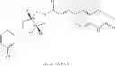 Fig. 131 - Antibacterial cyclopenta[c]pyrrole substituted 3,4-dihydro-1H-[1,8]naphthyridinones