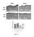 Fig. 08 - Methods and compositions for treatment of epithelial wounds
