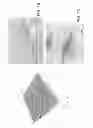 Fig. 07 - Nanotubes as carriers of nucleic acids into cells