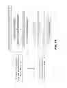 Fig. 09 - TISSUE-SPECIFIC MICRORNAS AND COMPOSITIONS AND USES THEREOF