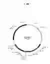 Fig. 04 - MODIFIED POLYNUCLEOTIDES ENCODING CD28 MOLECULE