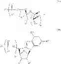 Fig. 28 - MODIFIED POLYNUCLEOTIDES ENCODING CD28 MOLECULE