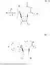 Fig. 65 - MODIFIED POLYNUCLEOTIDES ENCODING CD28 MOLECULE