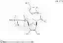 Fig. 83 - MODIFIED POLYNUCLEOTIDES ENCODING CD28 MOLECULE