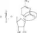 Fig. 85 - MODIFIED POLYNUCLEOTIDES ENCODING CD28 MOLECULE