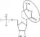 Fig. 86 - MODIFIED POLYNUCLEOTIDES ENCODING CD28 MOLECULE