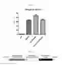 Fig. 09 - Human resistin receptor and use thereof