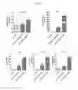 Fig. 20 - Human resistin receptor and use thereof