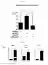 Fig. 24 - Human resistin receptor and use thereof