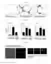 Fig. 25 - Human resistin receptor and use thereof