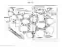 Fig. 27 - Human resistin receptor and use thereof