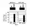 Fig. 09 - Methods and compositions for gene-specific demethylation by DNA methyltransferase (DNMT)-RNA interaction