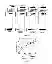 Fig. 33 - Methods and compositions for gene-specific demethylation by DNA methyltransferase (DNMT)-RNA interaction