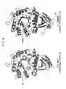 Fig. 07 - Highly functional enzyme having alpha-galactosidase activity