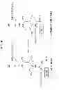 Fig. 09 - Highly functional enzyme having alpha-galactosidase activity