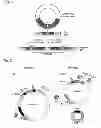 Fig. 02 - Use of integrase for targeted gene expression
