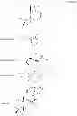 Fig. 08 - C-9 oxygen functionalized labdane derivates
