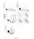 Fig. 06 - Methods of Treating Sickle Cell Disease and Related Disorders Using Fumaric Acid Esters