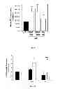 Fig. 09 - Methods of Treating Sickle Cell Disease and Related Disorders Using Fumaric Acid Esters
