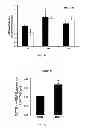 Fig. 10 - Methods of Treating Sickle Cell Disease and Related Disorders Using Fumaric Acid Esters