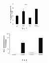 Fig. 11 - Methods of Treating Sickle Cell Disease and Related Disorders Using Fumaric Acid Esters