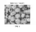 Fig. 02 - Polyols from biomass and polymeric products produced therefrom