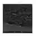 Fig. 04 - Polymeric articles comprising oxygen permeability enhancing particles