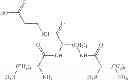 Fig. 07 - METHOD FOR PREPARING MULTIPLE ANTIGEN GLYCOPEPTIDE CARBOHYDRATE CONJUGATES
