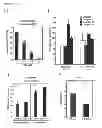 Fig. 06 - MODULATORS OF ADP-DEPENDENT GLUCOKINASE (ADPGK) AND GLYCEROL-3-PHOSPHATE DEHYDROGENASE (GPD2) FOR THERAPY