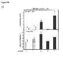 Fig. 33 - MODULATORS OF ADP-DEPENDENT GLUCOKINASE (ADPGK) AND GLYCEROL-3-PHOSPHATE DEHYDROGENASE (GPD2) FOR THERAPY
