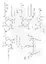 Fig. 07 - Multimeric biotinidase resistant multimodality probes