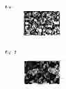 Fig. 02 - Process for producing a charge control agent